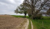 Tocht Stappen Valkenburg aan de Geul - Schin op Geul - Photo 12