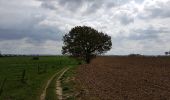 Tocht Stappen Valkenburg aan de Geul - Schin op Geul - Photo 11