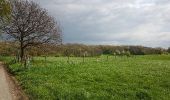 Tocht Stappen Valkenburg aan de Geul - Schin op Geul - Photo 10