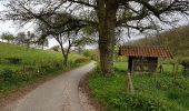 Tocht Stappen Valkenburg aan de Geul - Schin op Geul - Photo 8