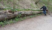 Tocht Stappen Valkenburg aan de Geul - Schin op Geul - Photo 6