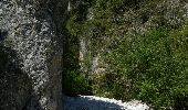 Tour Wandern Méthamis - ISLE-sur-la-Sorgue (METHAMIS - Gorges de la Nesque) - Photo 6