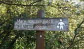 Randonnée Marche Méthamis - ISLE-sur-la-Sorgue (METHAMIS - Gorges de la Nesque) - Photo 4