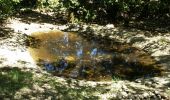 Randonnée Marche Méthamis - ISLE-sur-la-Sorgue (METHAMIS - Gorges de la Nesque) - Photo 2