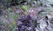 Percorso Altra attività Vallées-d'Antraigues-Asperjoc - visite terrain du haut 30-04-17 - Photo 5