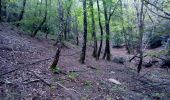 Percorso Altra attività Vallées-d'Antraigues-Asperjoc - visite terrain du haut 30-04-17 - Photo 4