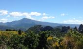 Tocht Mountainbike Gigondas - dentelles de montmirail - Photo 2