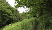 Trail Walking Ham-sur-Heure-Nalinnes - Marche Adeps à Nalinnes-Haies - Photo 2