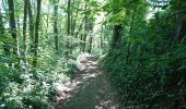 Trail Walking Viarmes - Abbaye de Royaumont  - Photo 16