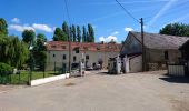 Tour Wandern Viarmes - Abbaye de Royaumont  - Photo 14