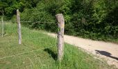 Trail Walking Viarmes - Abbaye de Royaumont  - Photo 13