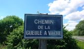 Trail Walking Viarmes - Abbaye de Royaumont  - Photo 5