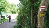 Trail Walking Viarmes - Abbaye de Royaumont  - Photo 3
