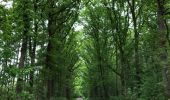 Trail Walking Zonhoven - De Wijers Geel - Photo 5