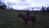 Trail Equestrian Malmedy - bernister - Photo 3