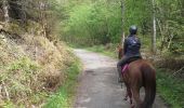 Trail Equestrian Malmedy - bernister - Photo 2