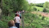 Trail Walking Eupen - Eupen, par bois, prairies et chemins - Photo 1