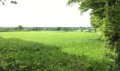 Trail Walking Eupen - Eupen, par bois, prairies et chemins - Photo 2