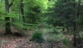 Trail Walking Eupen - Eupen, par bois, prairies et chemins - Photo 4