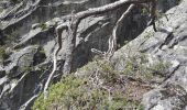 Randonnée Marche Salvan - Gorges du Dailley - marmites glacières 23.05.17 - Photo 15