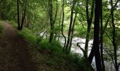 Excursión Senderismo Viroinval - 2017 05 24 Vierves les Charmes viroivaloise - Photo 4