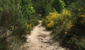 Excursión Senderismo Fontainebleau - malmontagne haut m'ont - Photo 1