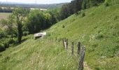 Trail Walking Visé - montagne saint pierre - Photo 9