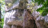 Tocht Stappen Charquemont - gorges du Doubs  - Photo 2