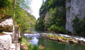 Tocht Stappen Charquemont - gorges du Doubs  - Photo 5