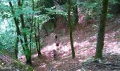 Trail Walking Charquemont - gorges du Doubs  - Photo 14