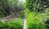 Trail Walking Le Hohwald - Par les sommets autour du Hohwald - Photo 19