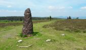 Trail Walking Le Hohwald - Par les sommets autour du Hohwald - Photo 14