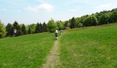 Trail Walking Le Hohwald - Par les sommets autour du Hohwald - Photo 11