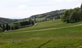 Excursión Senderismo Le Hohwald - Par les sommets autour du Hohwald - Photo 10