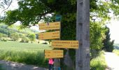Trail Walking Châtenay - Chatenay par la Combe Bajat - Photo 3
