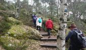 Trail Walking Larchant - M&R-170303 - MtBlanc-DameJouanne - Photo 6