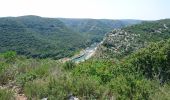 Trail Walking Collias - Les gorges du Gardon - Photo 5