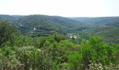 Trail Walking Collias - Les gorges du Gardon - Photo 2