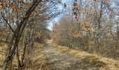 Trail Walking Gap - Viaduc du Buzon.(19-03-17) - Photo 5
