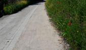Trail Walking Escalles - boucle L'escale cap blanc nez Wissant L'escale  - Photo 1