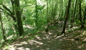 Trail Walking Bouillon - ROCHEHAUT ( Echelles) - Photo 4