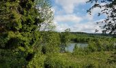 Tour Fahrrad Bütgenbach - venetië dag 3 - Photo 7