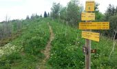 Randonnée Marche La Sure en Chartreuse - La Prairie de Charminelle par le pas de l'Aronde et le pas de la miséricorde - Photo 2