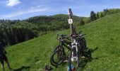 Trail Mountain bike Bussang - vtt de bussang au rouge gazon - Photo 1