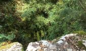 Tour Wandern Chandolas - vallon de Fontgraze  ARDE`CHE GPS - Photo 7