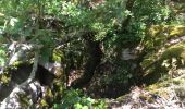 Trail Walking Chandolas - vallon de Fontgraze  ARDE`CHE GPS - Photo 3