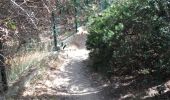 Trail Walking Six-Fours-les-Plages - Destination sentier du Mont Salva - Photo 8