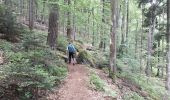 Trail Walking Rosheim - Sentier circulaire du Heidenkopf - Photo 16