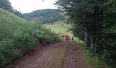 Excursión Otra actividad Rougemont-le-Château - bruckenwald - Photo 5