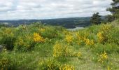 Tocht Stappen Naussac-Fontanes - Fotanes et Naussac  - Photo 4